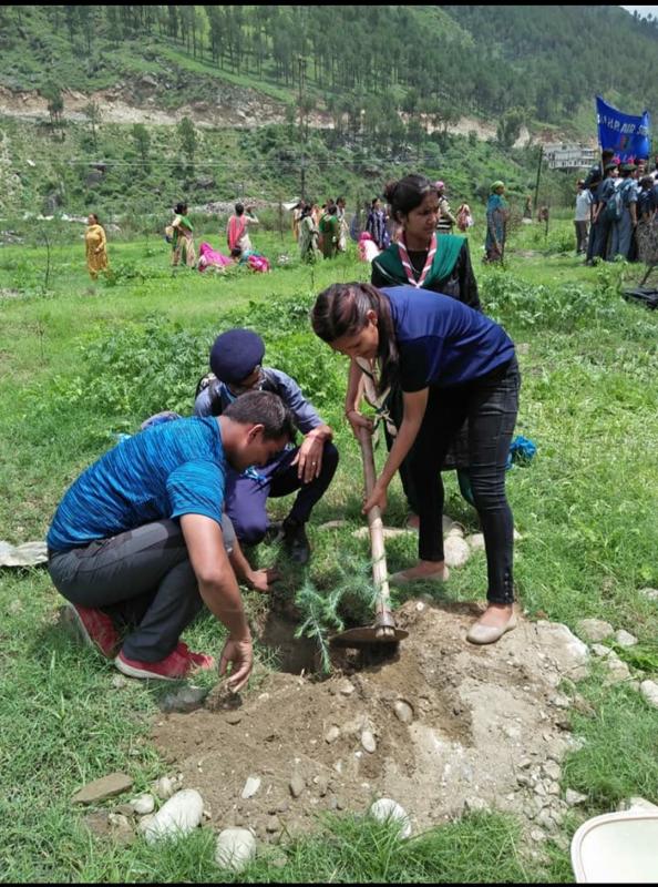 वृद्ध पौध रोपण कार्यक्रम