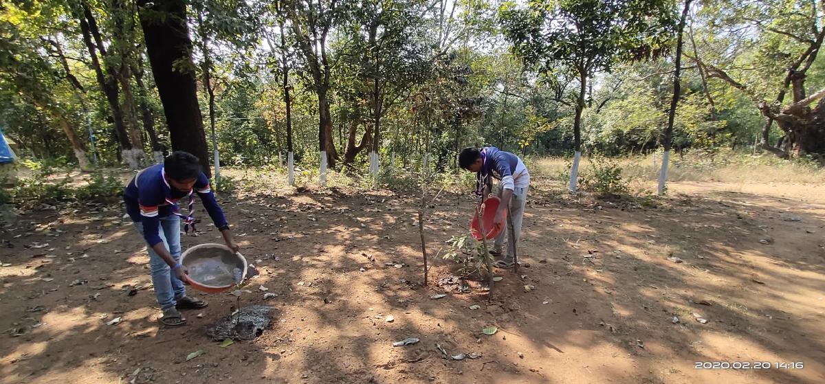 Providing Water to plants in Campsite