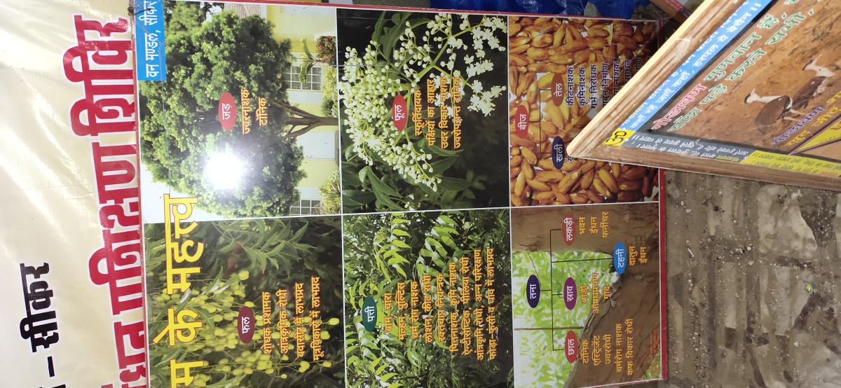 smriti van exhibition overview