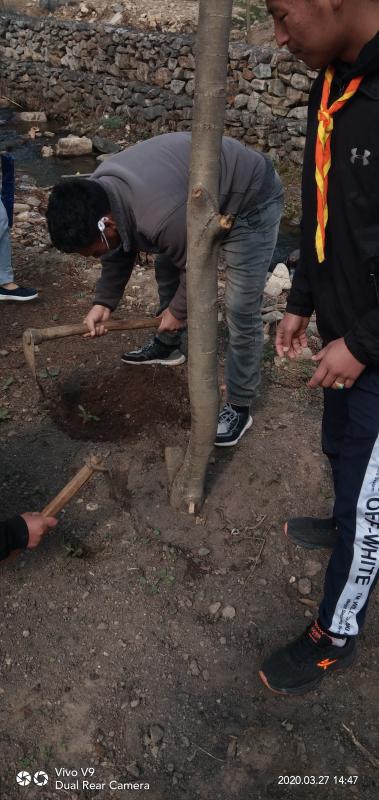 Development of scout garden 