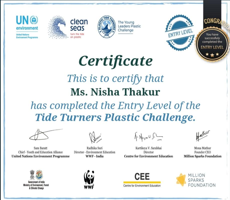Tide Turners Plastic Challenge