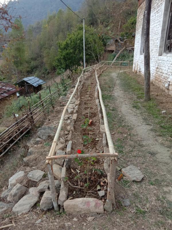Community service (flower garden )
