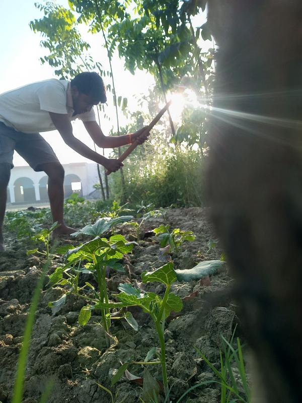 SANKALP by scout guide -GO ORGANIC