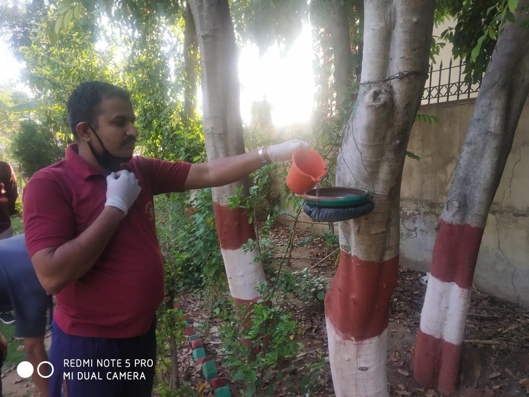  lets go we do a good work for the birds