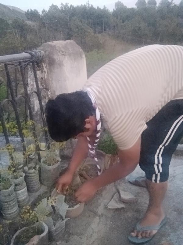 challenge 4