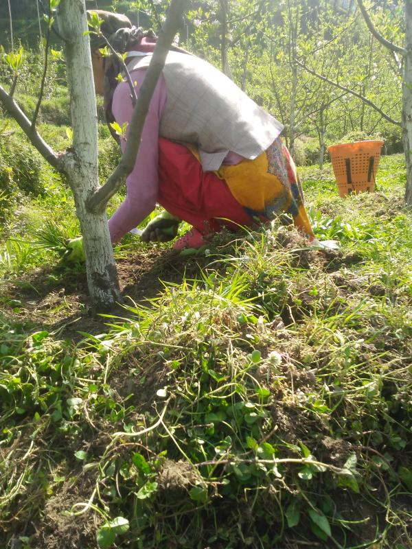 GARDENING ( #GOODTURN)