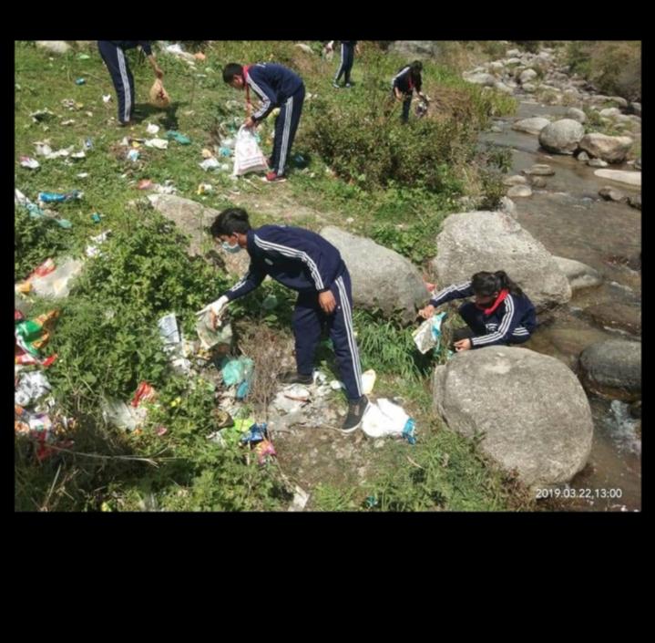 Scouts For Sustainability 