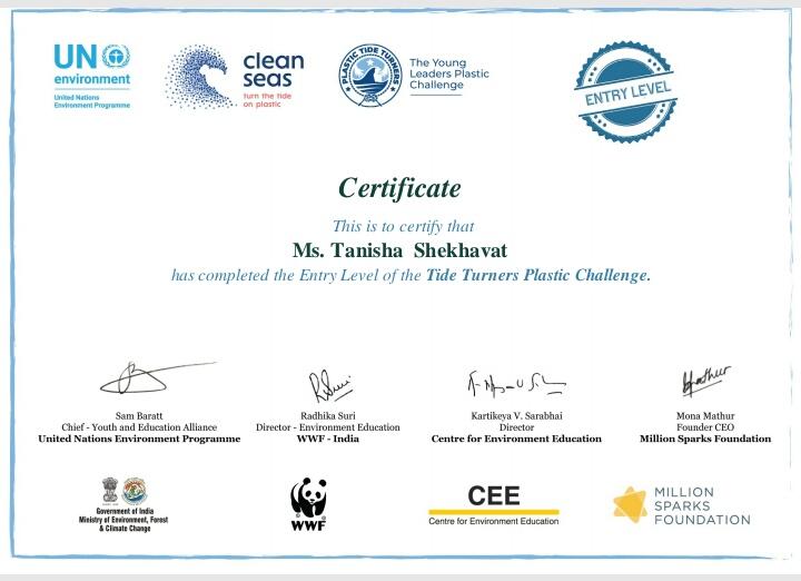 plastic Tide turners challenge 