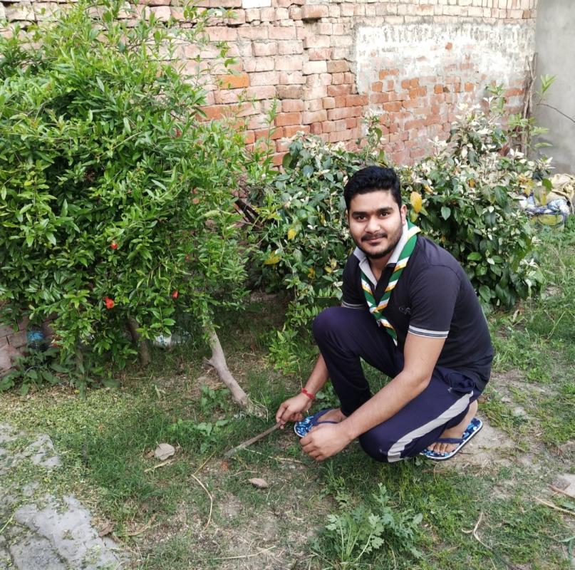 Goorganic