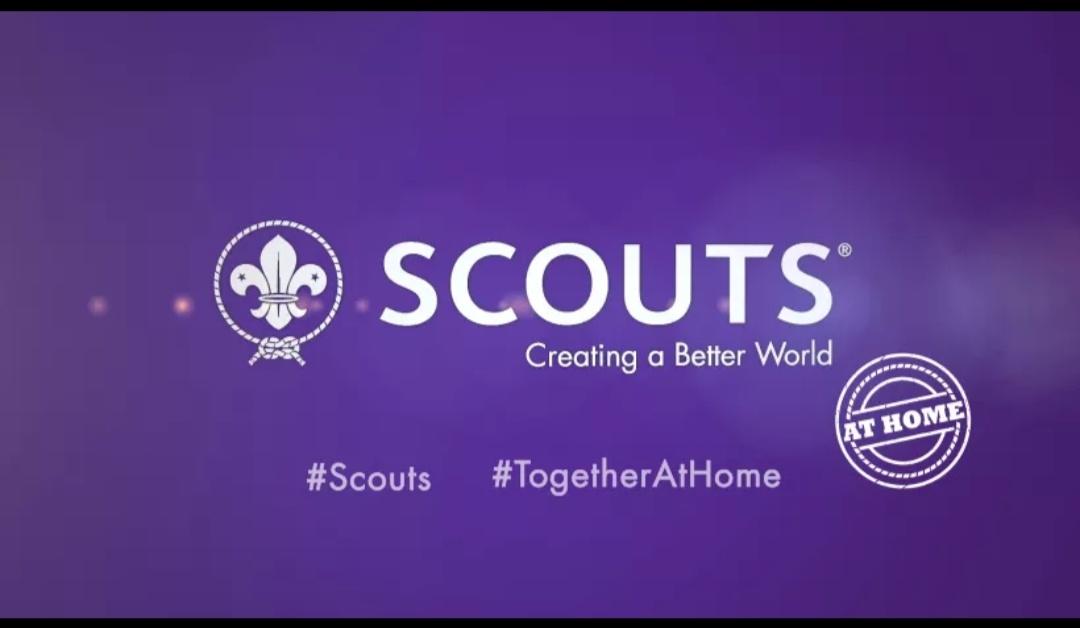 Virtual State Official Meeting