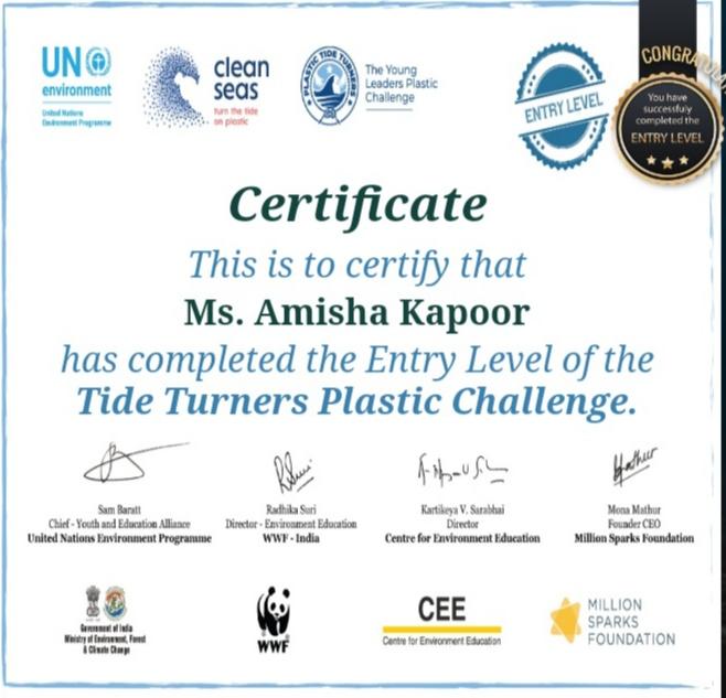 Tide turner plastic challenge