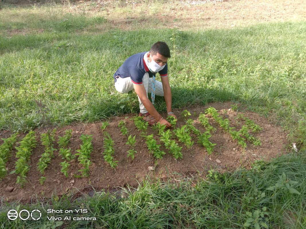 Sankalp Procect Group B Challenge 4 Kitchen Garden