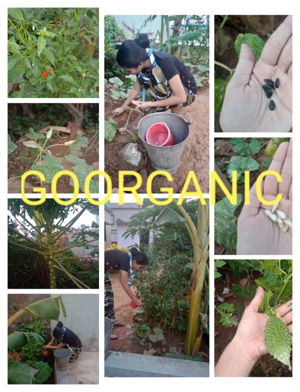 Goorganic (Project-sankalp) 
