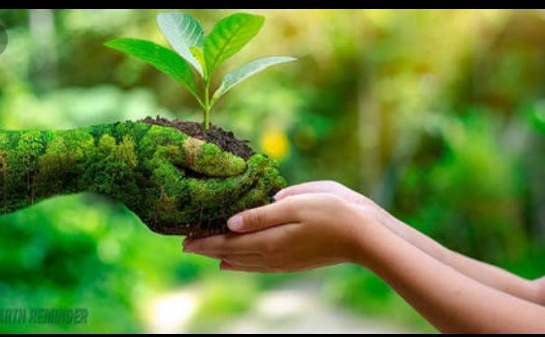 SANKALP PROJECT > (B) Environment and Sustainability > challenge(4) #Goorganic