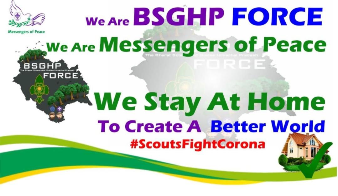 7th digital meeting by BSGHP 