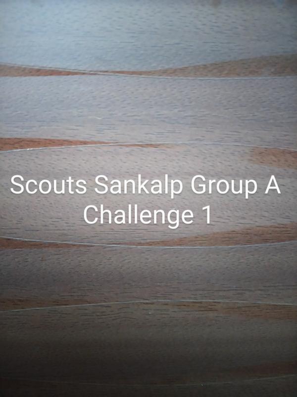 Scouts Sankalp Group A Challenge 1 #Reachout (BSG,Karnataka,District Association Of Scouts Udupi)