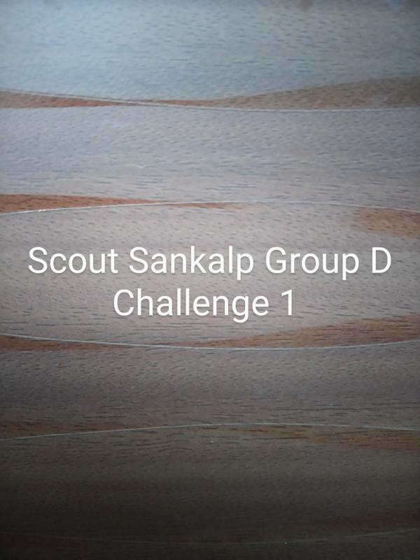 Scout Sankalp Group D Challenge 1 #BSG Website (BSG,Karnataka, District Association Of Udupi)