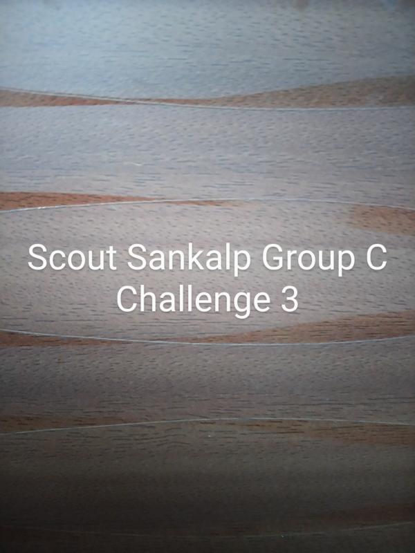 Scout Sankalp Group C Challenge 3 #Game At Night (BSG,Karnataka, District Association Of Udupi)