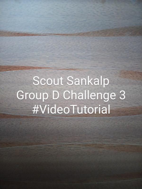 Scout Sankalp Group D Challenge 3 #VideoTutorial (BSG,Karnataka, District Asociation Of Udupi)