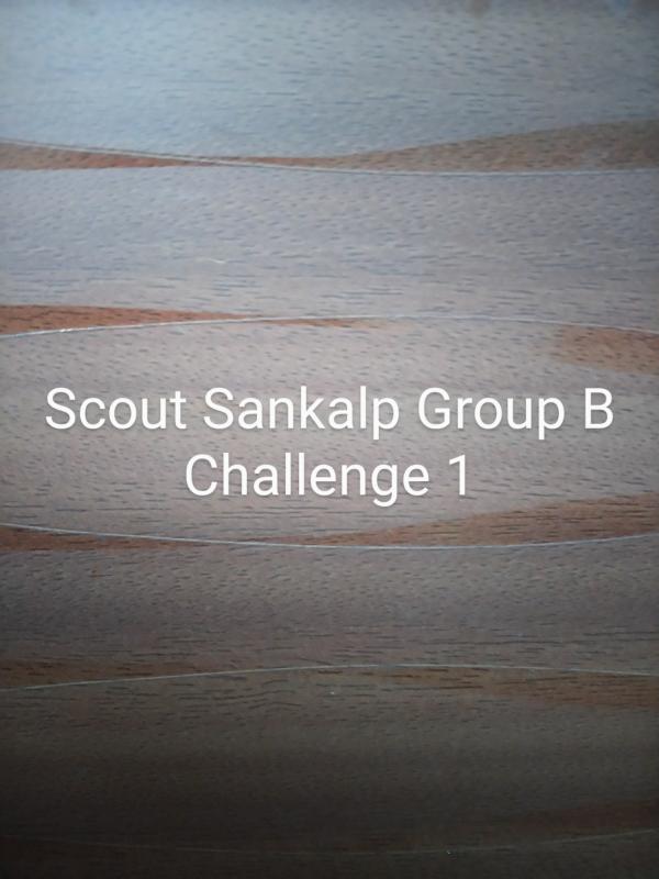 Scout Sankalp Group B Challenge 1 #How Long Until it Is Gone? (BSG,Karnataka, District Association Of Udupi)