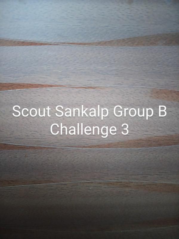 Scout Sankalp Group B Challenge 3 #Gogreen (BSG,Karnataka, District Asociation Of Udupi)