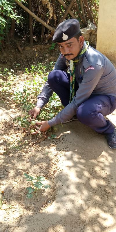 Sankalp project [B] Environment & Sustainability
Challenge 4 – #Goorganic