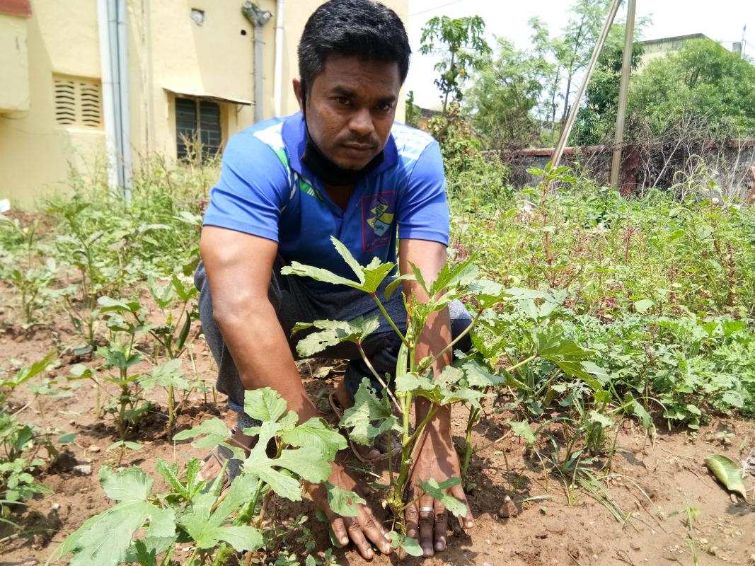 Environment & Sustainability 