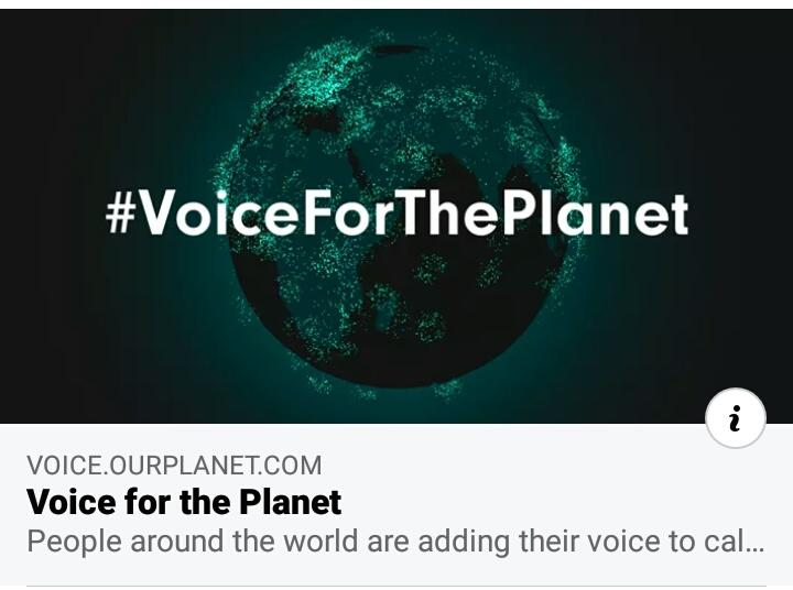 voice for the planet 