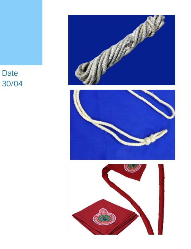 (D) :- Digital Scouting Guiding
Challenge(1):- #BSG India