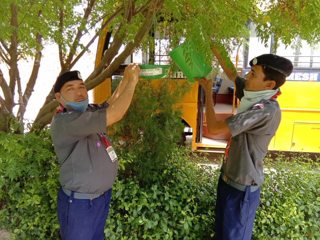  birds ke liye prinde lagate hue.