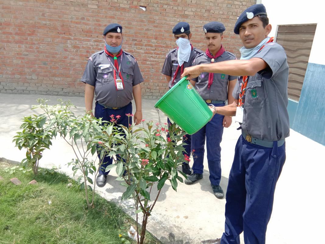 poudho me pani dalne ka karya kiya