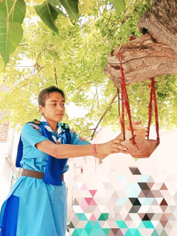 Install a Bird water baths