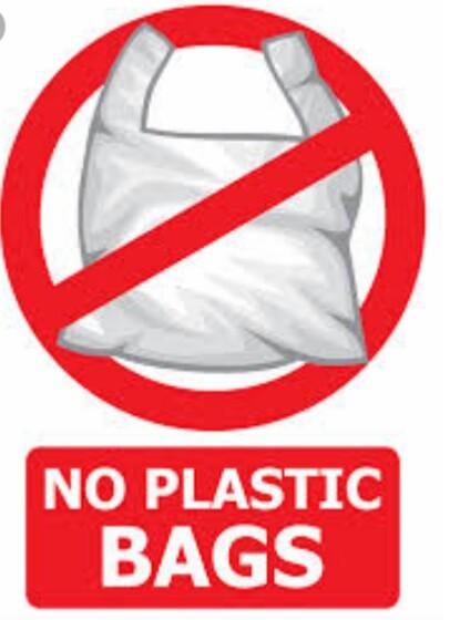 Scout Sankalp Group B Challenge 1 #How Long Until it is gone? (BSG, Karnataka , District Association of Udupi).