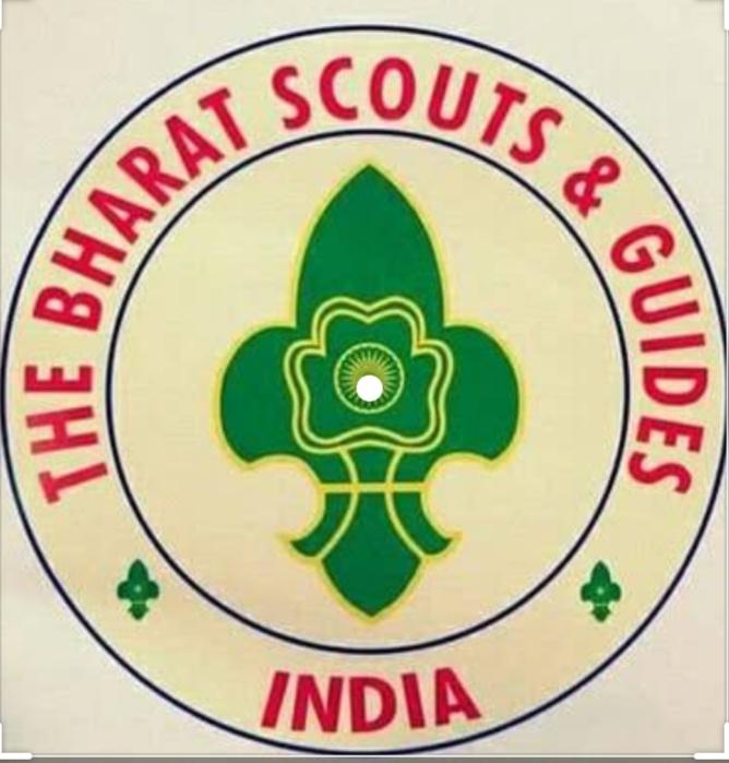 bsghp fource scout fight against corona