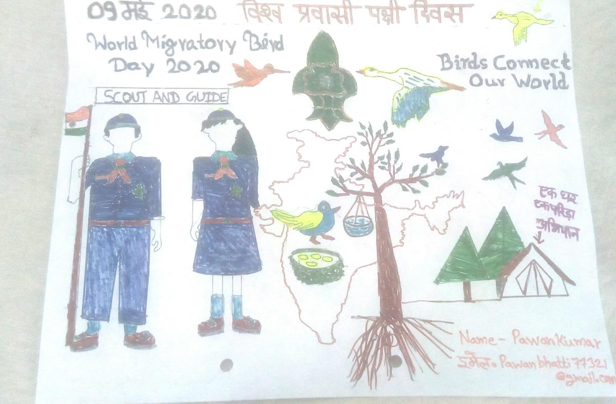 विश्व प्रवासी पक्षी दिवस पर जिला स्तर पर आयोजित होने वाली गतिविधियों के तहत प्रवासी पक्षियों की पोस्टर प्रतियोगिता के आयोजन में हिस्सा लिया !