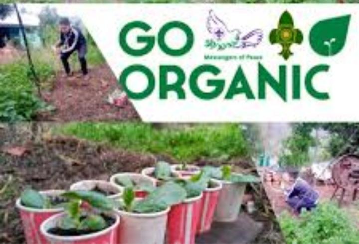Scout Sankalp Group B Challenge 4 #Goorganic (BSG, Karnataka, District Association of Udupi).