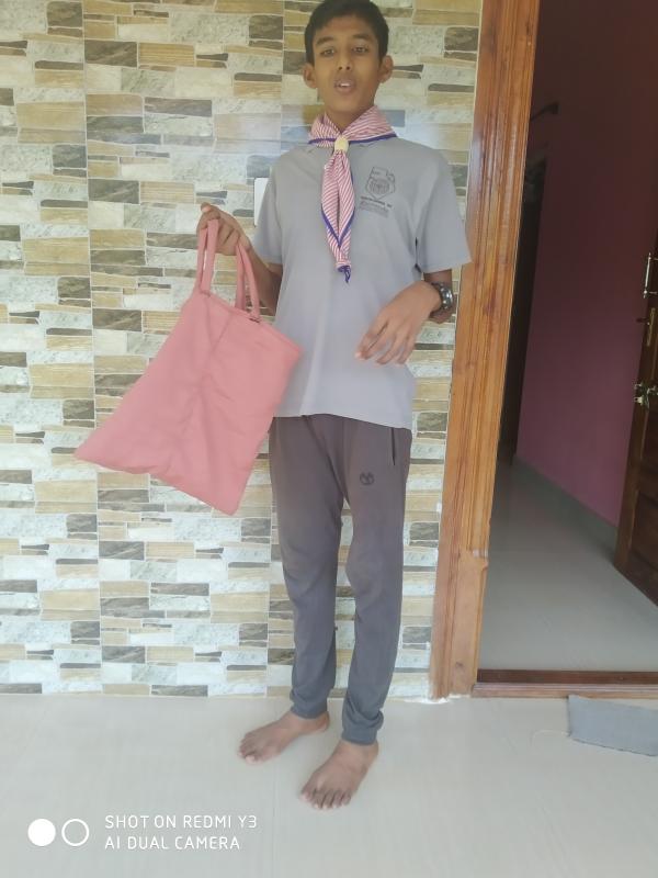 Scout Sankalp Group B Challenge 3 #Gogreen (BSG, Karnataka, District Association of Udupi). 