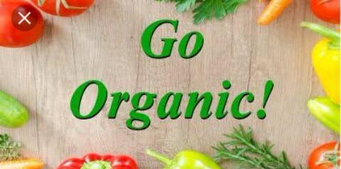 Scout Sankalp Group B Challenge 4 #Goorganic (BSG, Karnataka, District Association of Udupi).