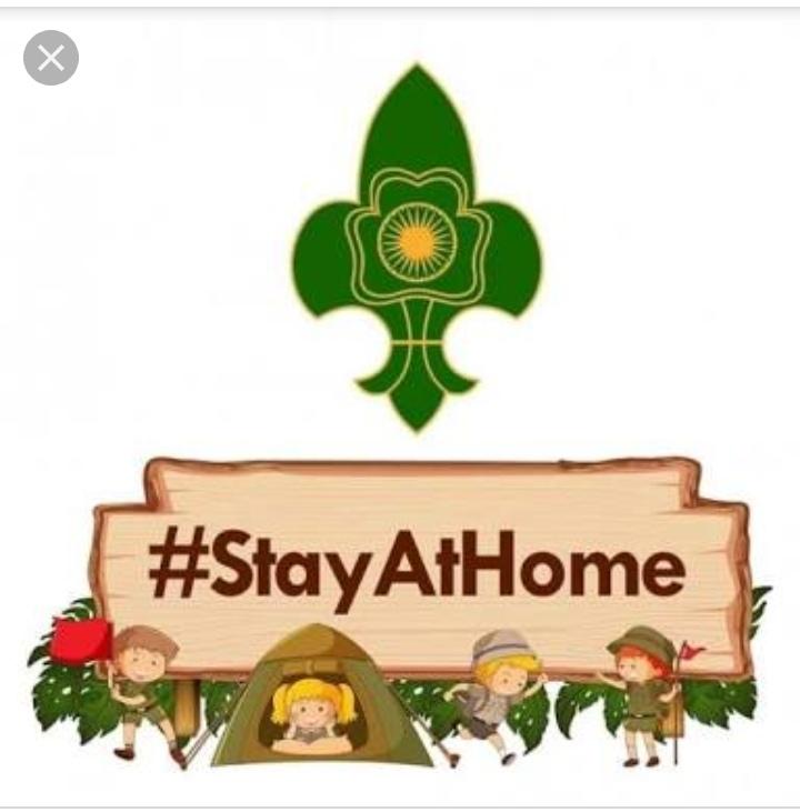 Stay At Home 