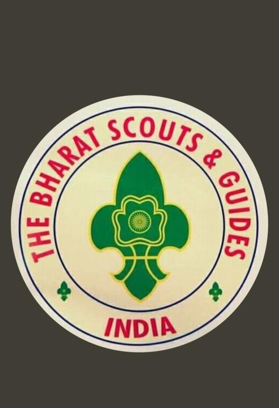 गायो को हरा चारा खिलाया