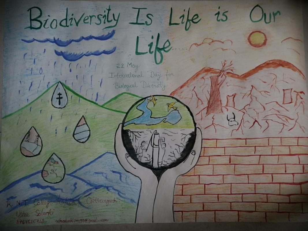 International Day for Biological Diversity 