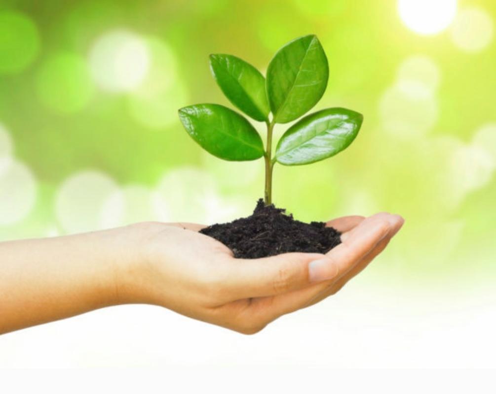 sankalp to create a better tomorrow