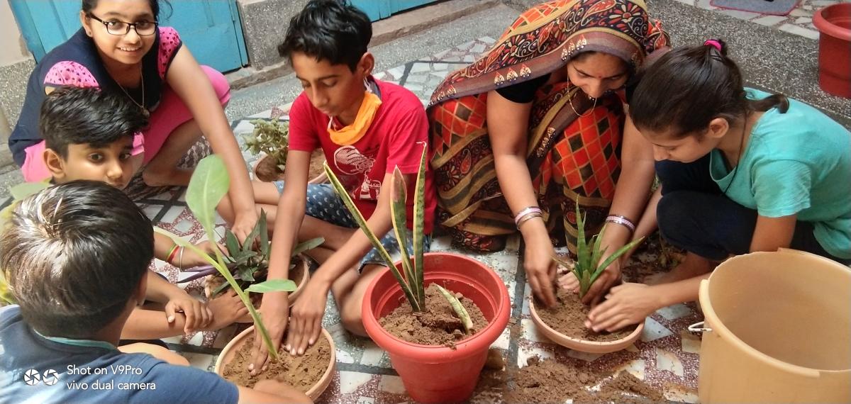 stay home stay plant in home