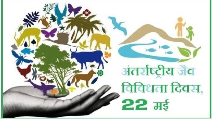 आज विश्व जैव विविधता दिवस पर मेरे द्वारा इस प्रतियोगिता में भाग लेकर पोस्टर बनाया गया है जिसका मुख्य संदेश," जैव विविधता के संरक्षण से संबंधित हैं "!)

धन्यवाद!
