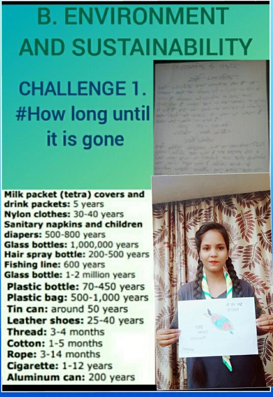 Environment and sustanibity #How long until it is gone