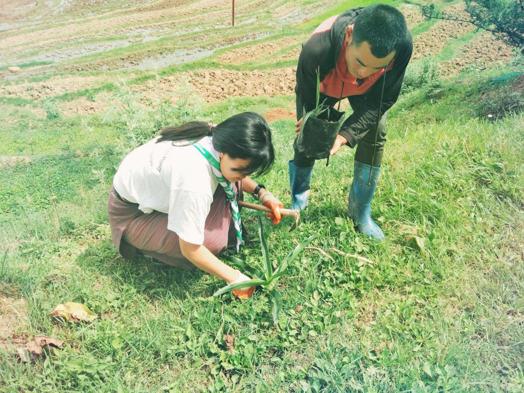 Mark on World Environment Day