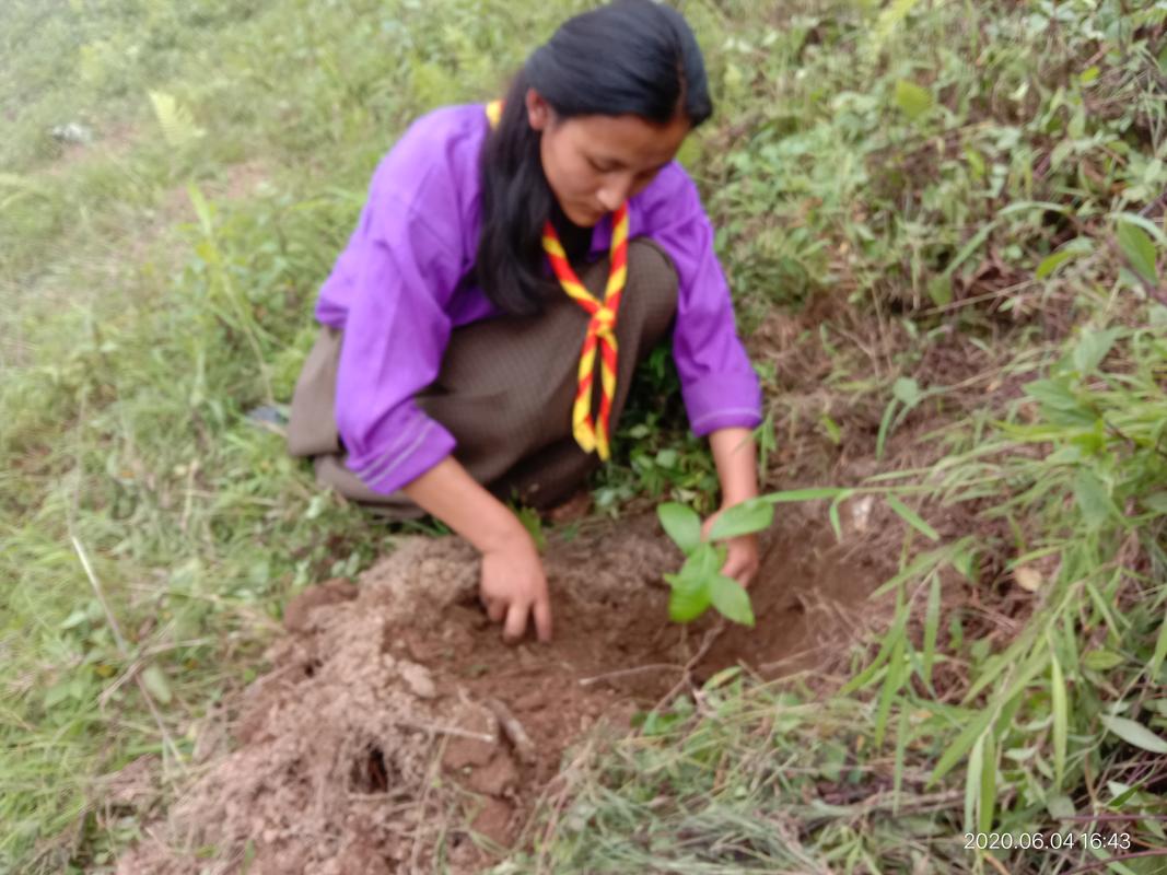 Highlight on World Environment Day 