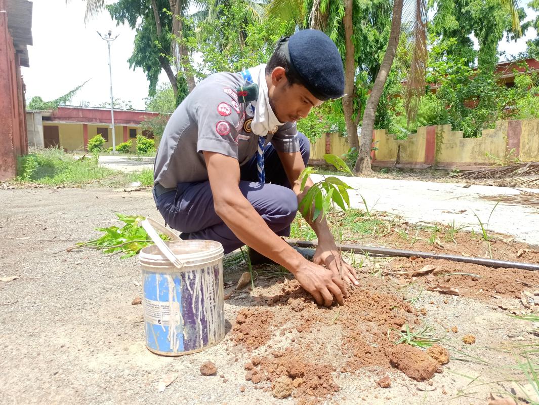 GREEN CITY IS MY DREAM CITY