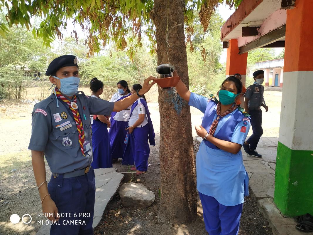 विश्व पर्यावरण दिवस