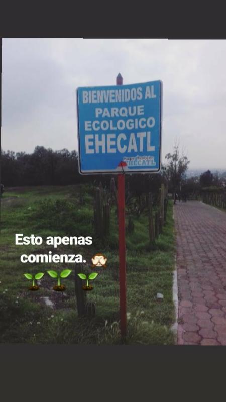 El verde de la vida